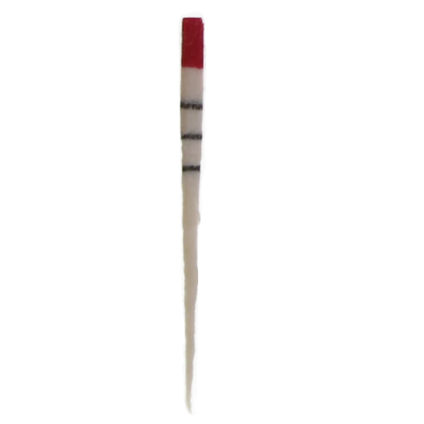 Dentsply - ProTaper Paper Points F2 #25 - (USA code PTUPPF2)