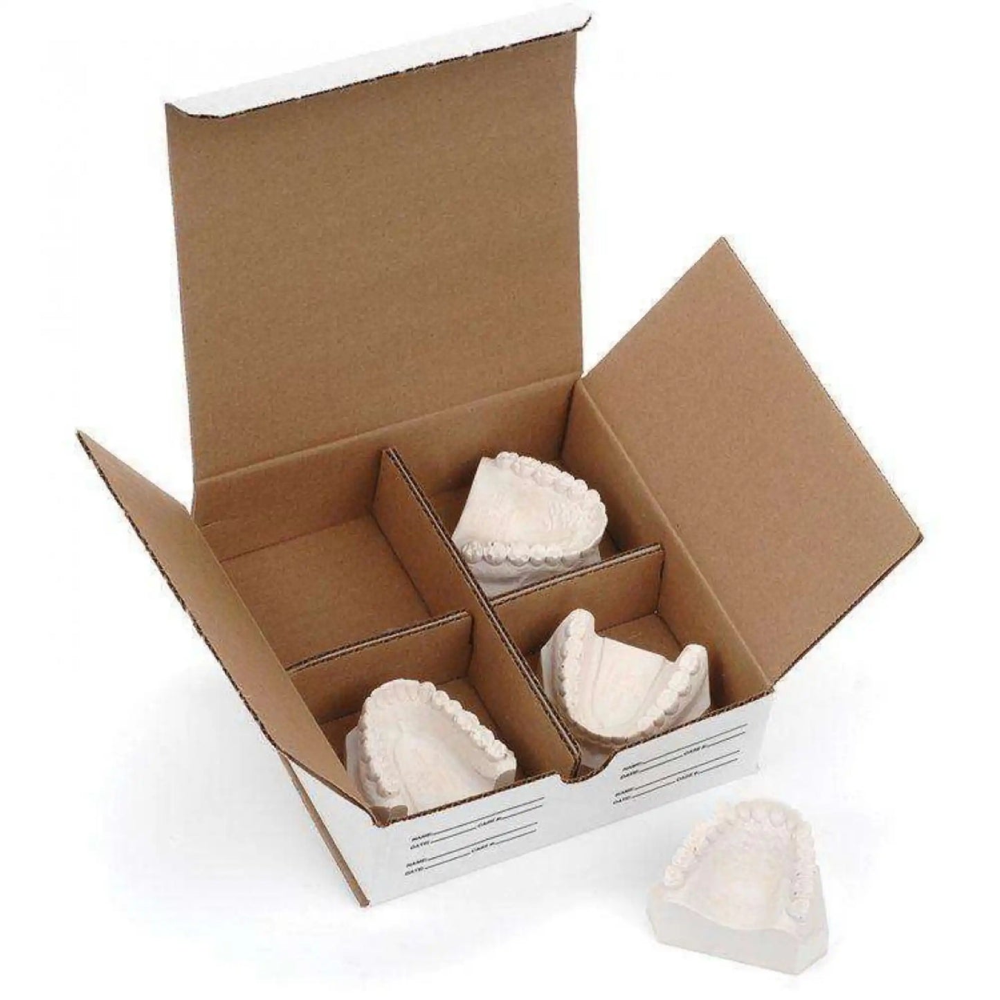 Keystone - Model Storage Box (100/Pk)