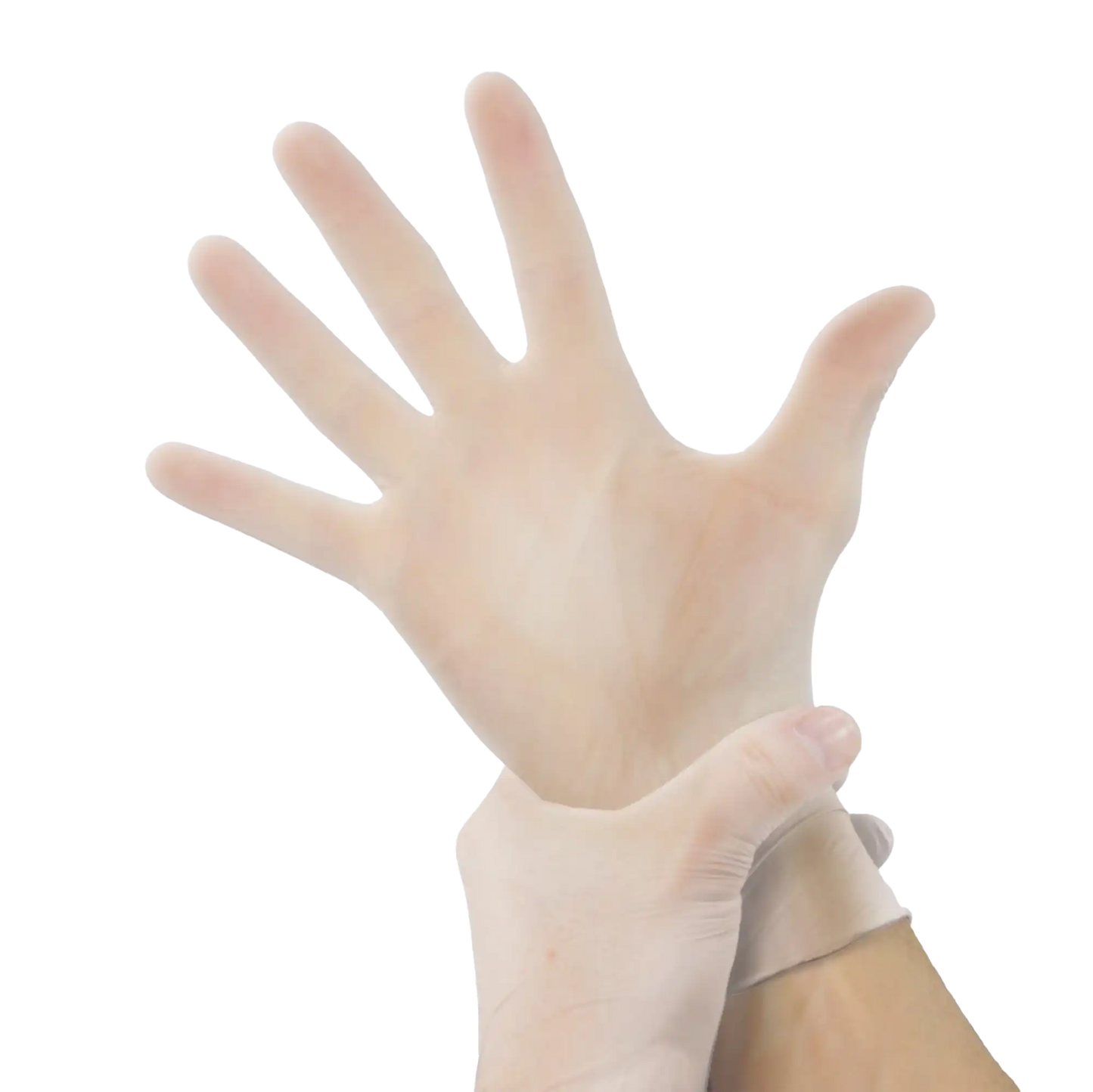 Adenna VPF Vinyl Exam Gloves Medium 100/Box. PF