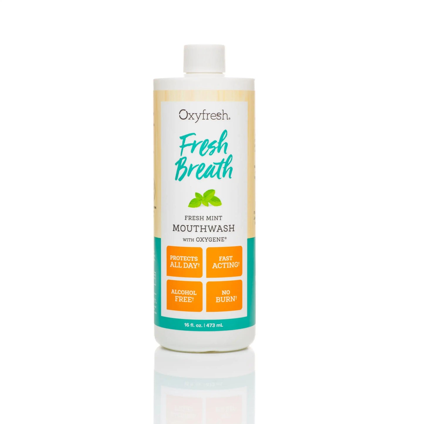 Oxyfresh - Fresh Breath Fresh Mint Mouthwash, 16 oz.