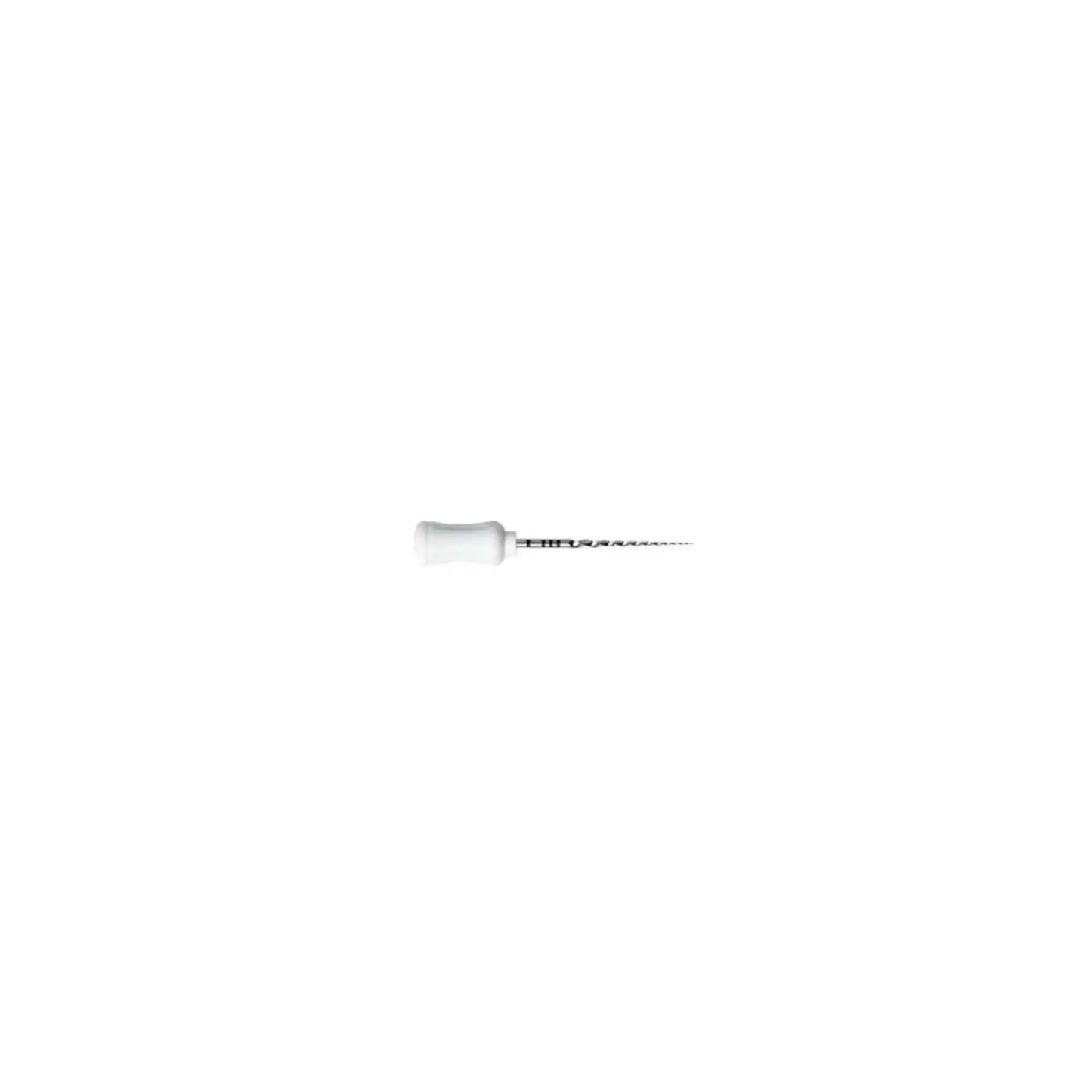 Dentsply - ProTaper Hand Use S2 21mm 6/Pk (USA Code PTUHS221)