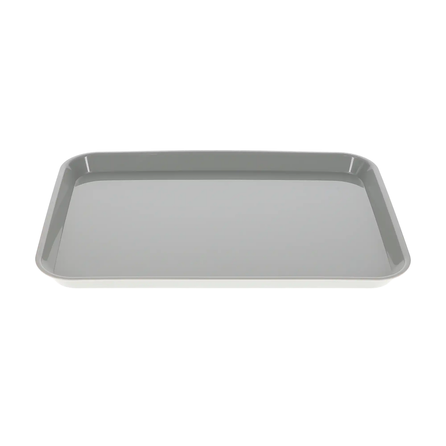 HSB - Set-up Tray Flat Size B (Ritter) - Gray, Plastic, 13-3/8" X 9-5/8" X 7/8" - (Equiv 300BF-9)