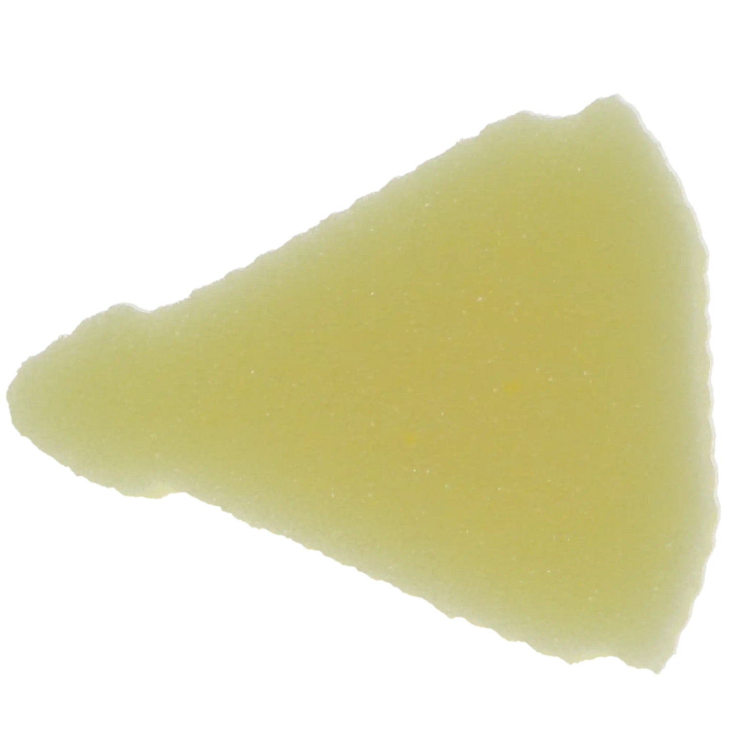 Endoring Foam Inserts - 48pk - Yellow