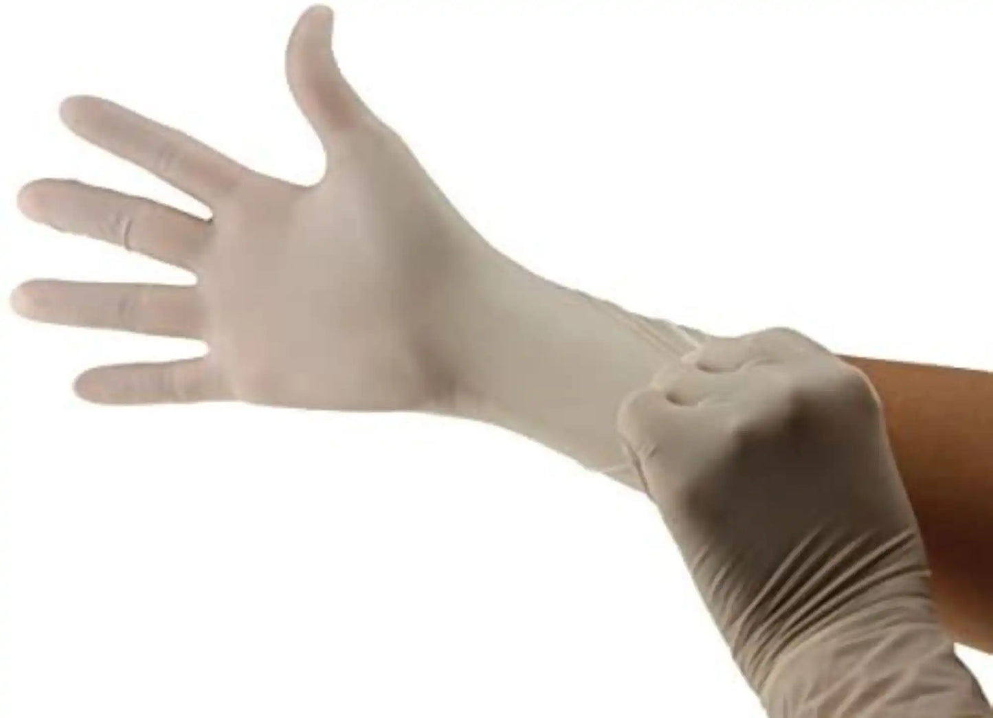 Cranberry - Cranberry Sigma PF Latex Glove Large 100/Bx