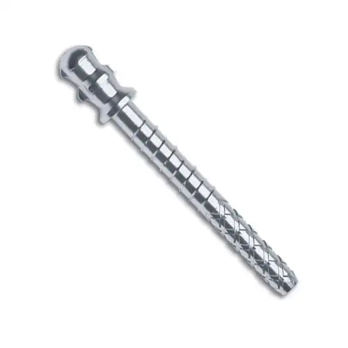 Coltene - ParaPost Plus Titanium P284-5.5 Purple 10/Pk