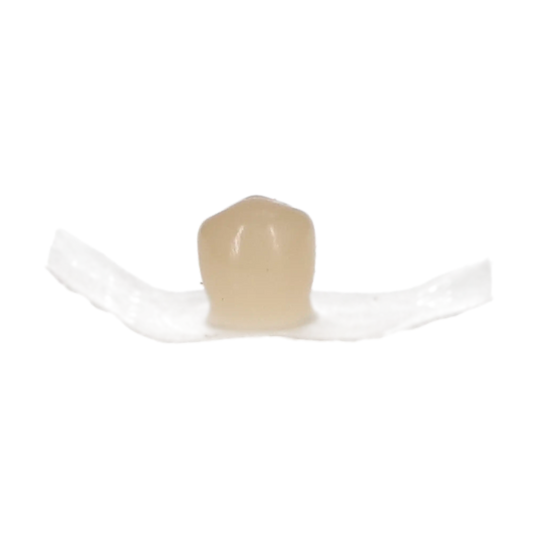 Protemp Crown Refill Lwr Bicuspid 5/Pk