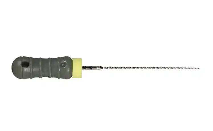 Dentsply - Ready-Steel C+File 21mm 6/Pk #06