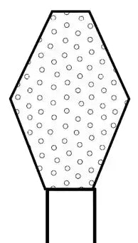 Premier - Two Striper Diamond FG 234C 5/Pk
