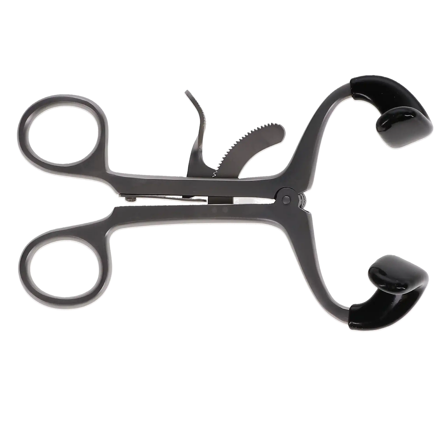 Pomee - Molt Mouth Gag W/Tips Adult