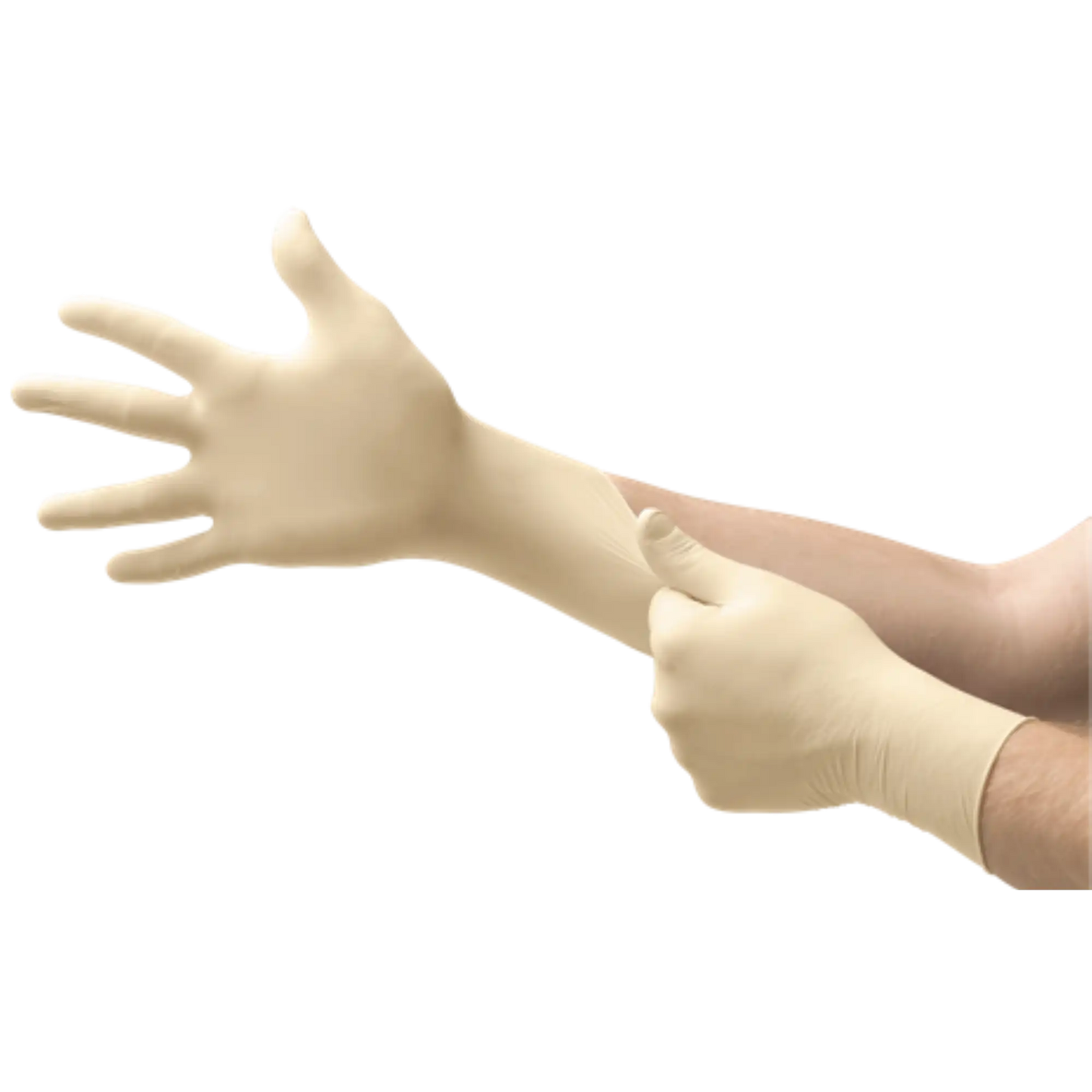 Adenna Vitex Vinyl Gloves PF SM 100/Bx