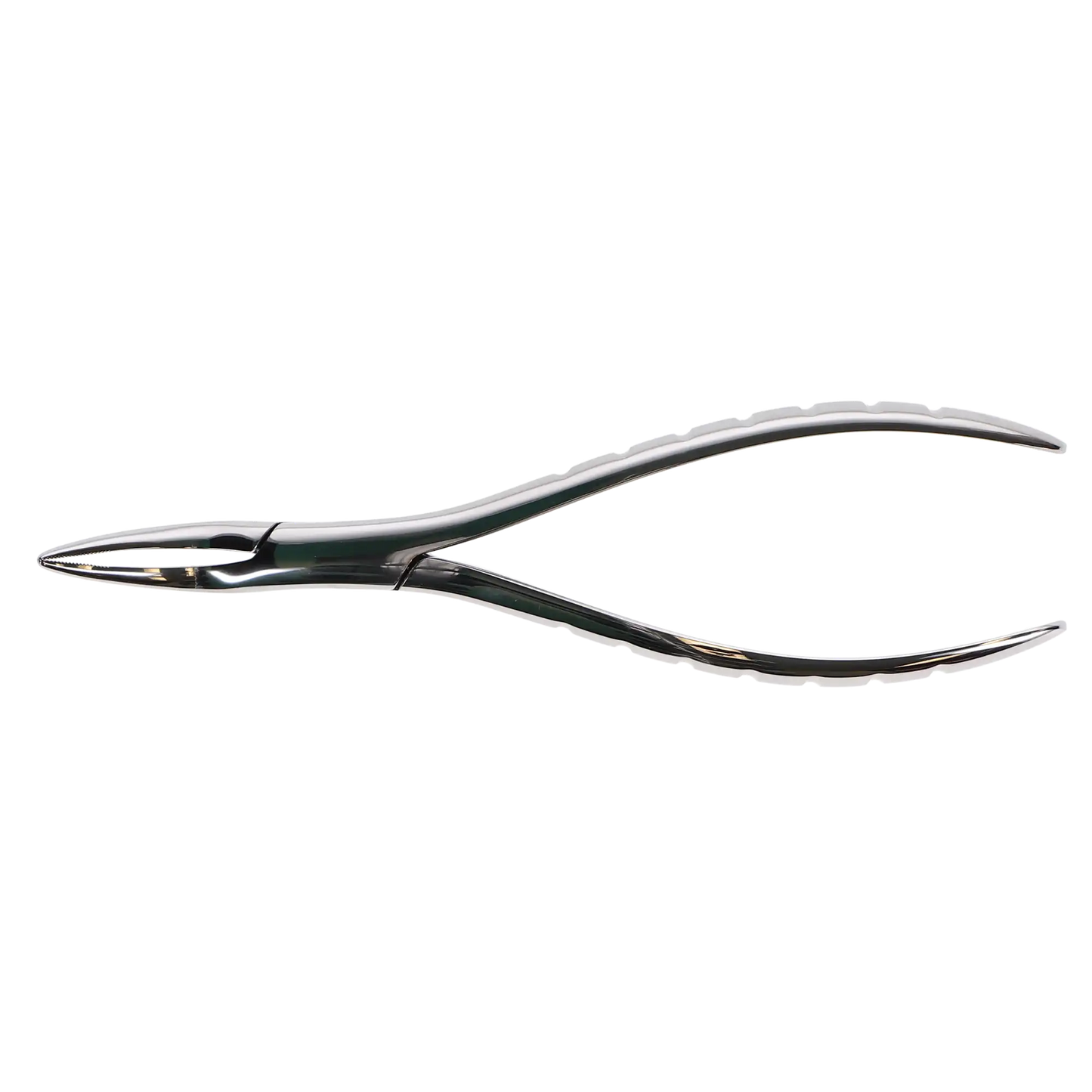 Hu-Friedy - Hu-Friedy - Forceps?#300 SM roots