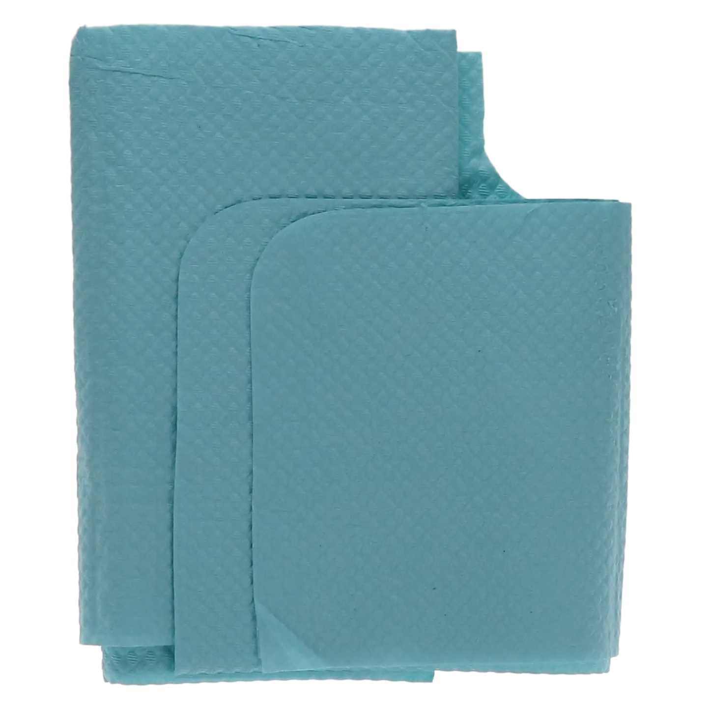 Tidi - Oral Surgery Bib 18X25 3ply 250/Bx Blue