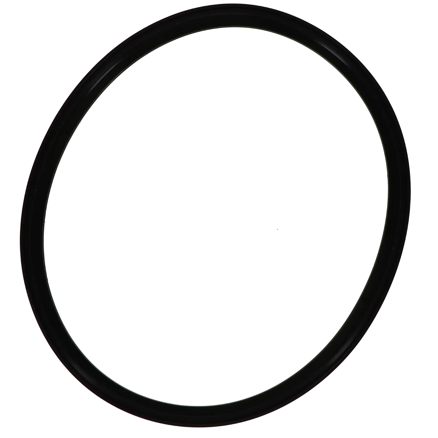 Sterilizer Gasket For A-dec/W&H Lisa MB17