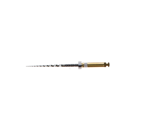 zz-Dentsply - ProTaper Universal Rotary File 25mm S2 - (USA code PTURS225)