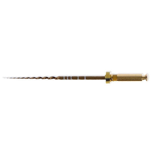 Dentsply - ProTaper Gold Rotary File 21mm F2 - (USA code PTGRF221)