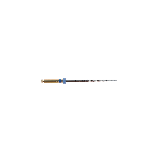 Dentsply -?ProTaper?Universal Rotary File 31mm - Assorted