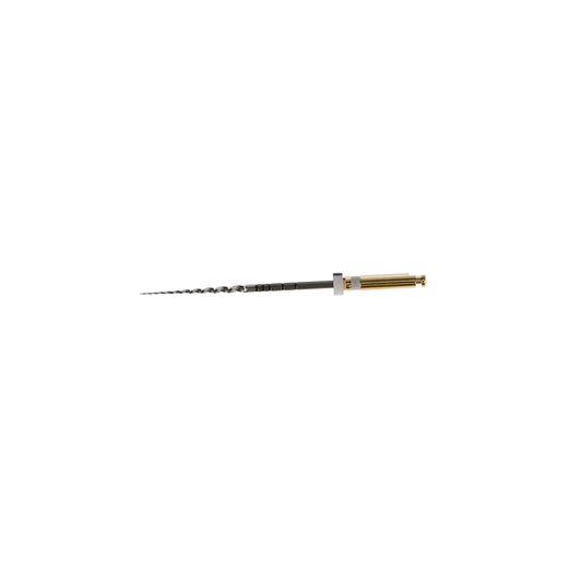 zz-Dentsply - ProTaper?Universal Rotary File 31mm S2 - (USA code PTURS231)