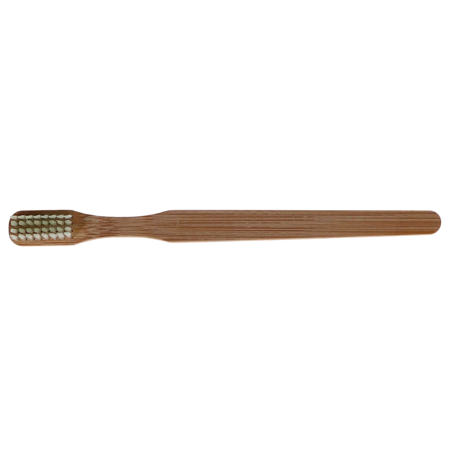Oraline - Bamboo Prepasted Toothbrush