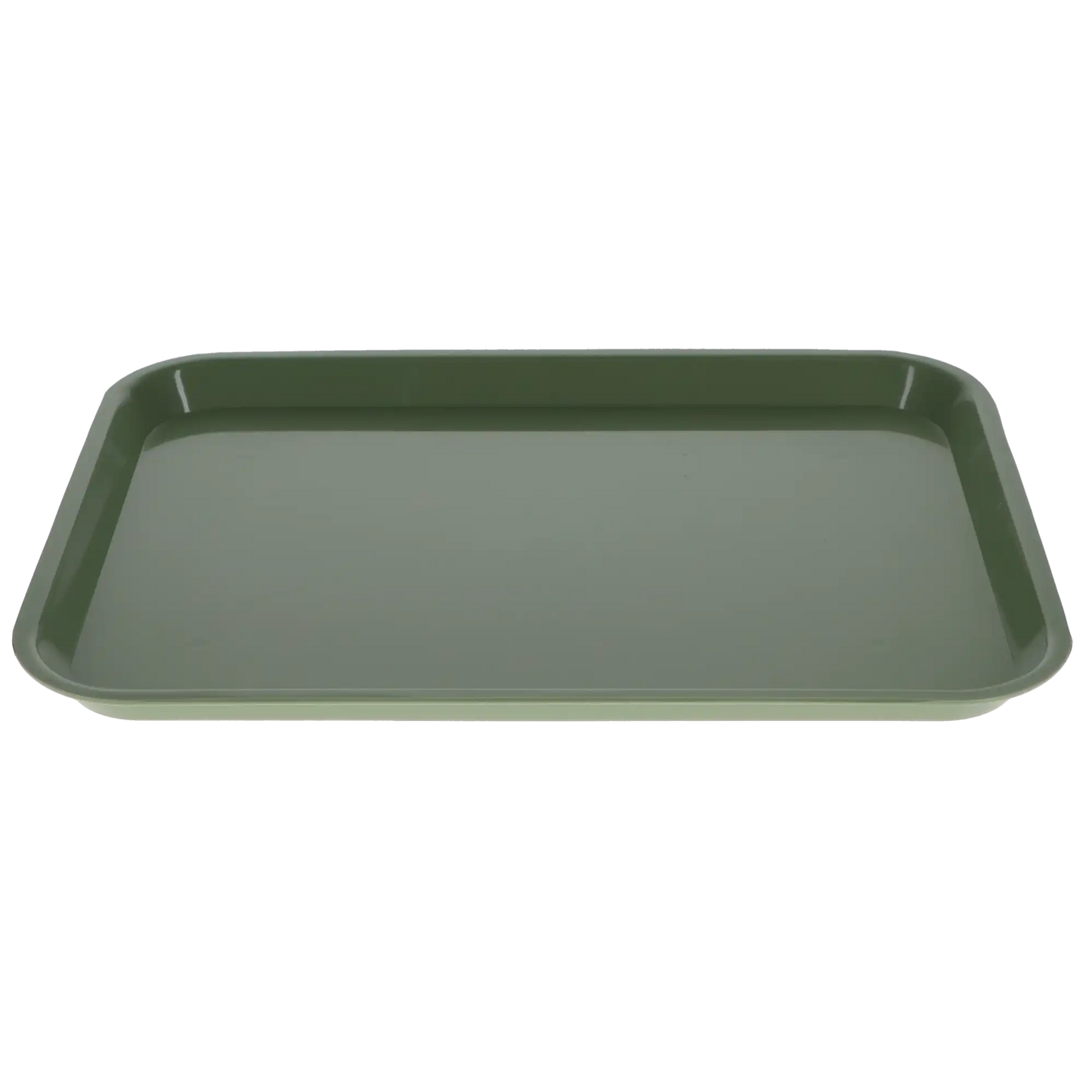 Plasdent - Set-up Tray Flat Size B (Ritter) - Green, Plastic 13-3/8" x 9-5/8" x