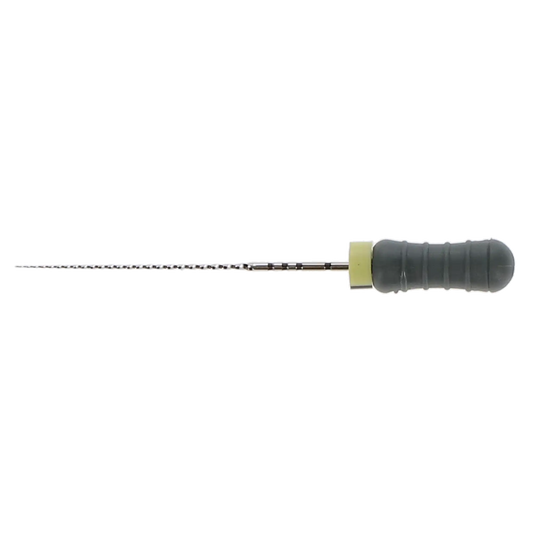 Dentsply - C-File SS #08 25mm 6/Pk (670995)