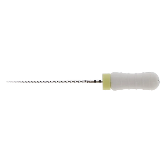 Maillefer Ready-Steel SS Sterile C+File 21mm #15  - 6/Pack
