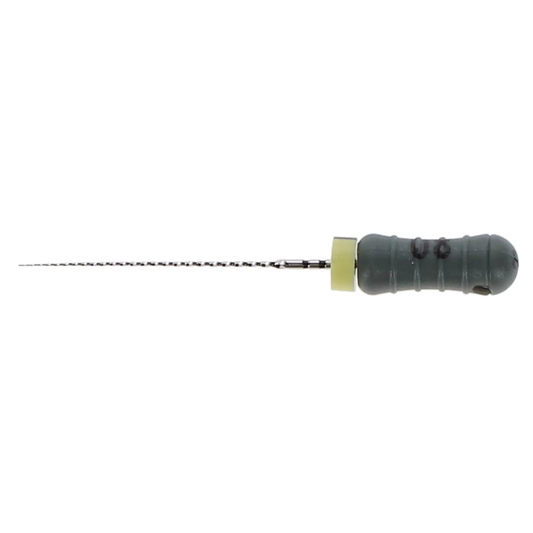 Maillefer Ready-Steel SS Sterile C+File 21mm Assorted  - 6/Pack