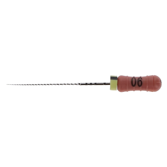 Dentsply - Maillefer Ready-Steel SS Sterile C+File 25mm #06  - 6/Pack