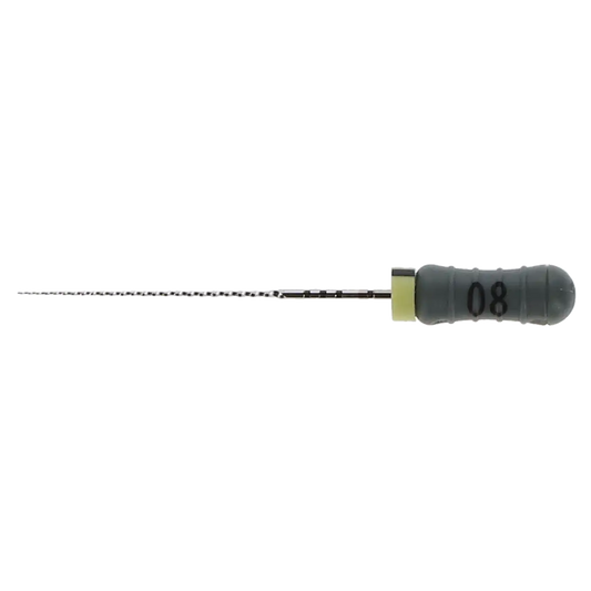 Maillefer Ready-Steel SS Sterile C+File 25mm Assorted  - 6/Pack