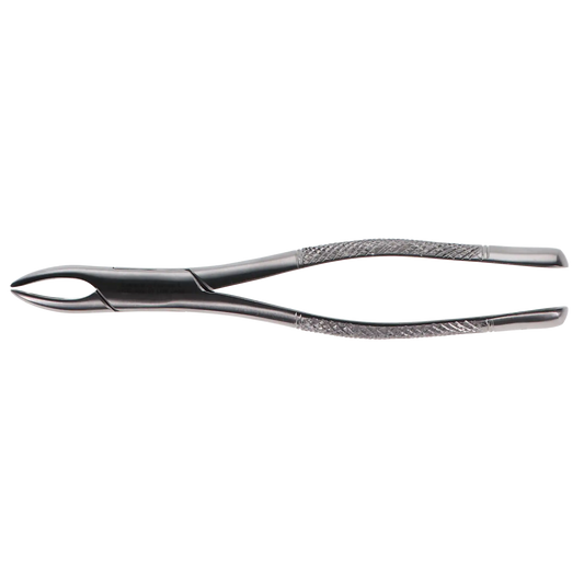 HSB - Extracting Forceps #1 Standard