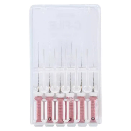 Dentsply - C-File SS #06 21mm 6/Pk