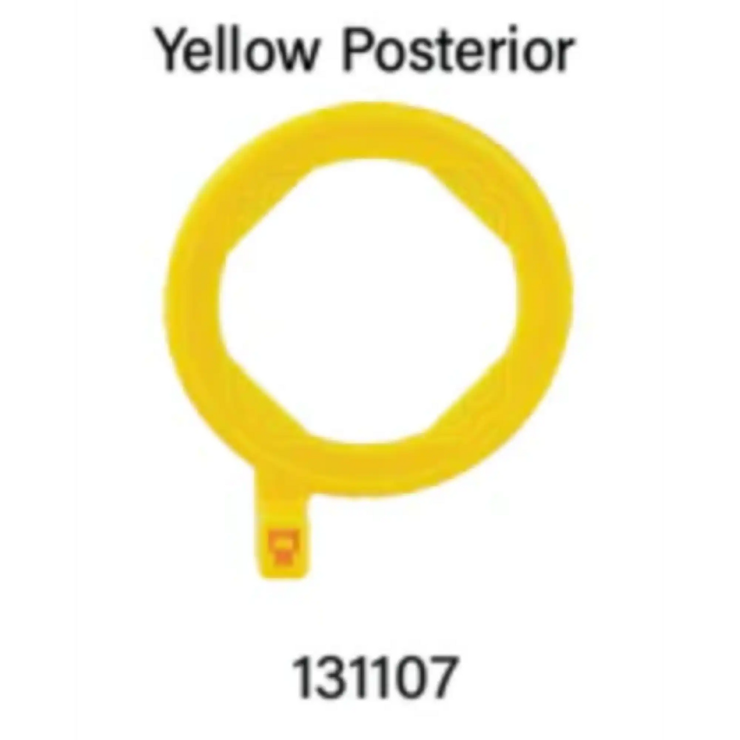 EzAim X-Ray Positioning Ring Posterior Yellow Each