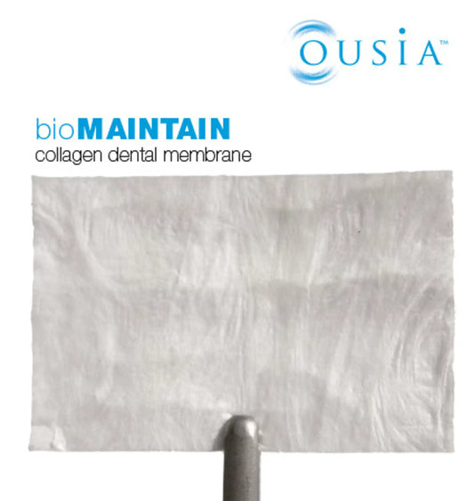 BioMaintain Bovine Membrane 20mm x 30mm 1 each