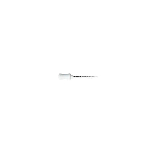 Dentsply - ProTaper Hand Use S2 21mm 6/Pk (USA Code PTUHS221)