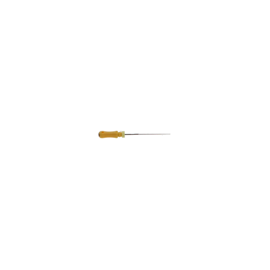 Dentsply - K-Files SS #20 25mm 6/Pk