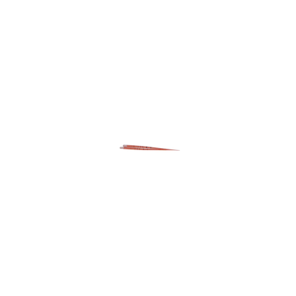 3D - Gutta Percha Points Box/60/Tapered .04 #15