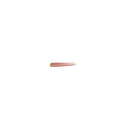 3D - Gutta Percha Points Box/60/Tapered .04 #20