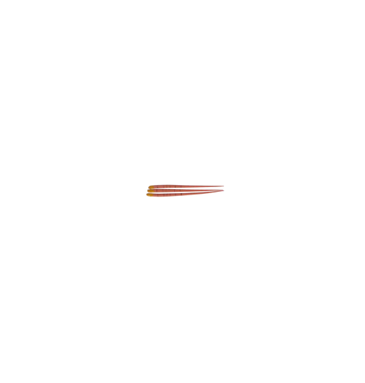 3D - Gutta Percha Points Box/60/Tapered .04 #20