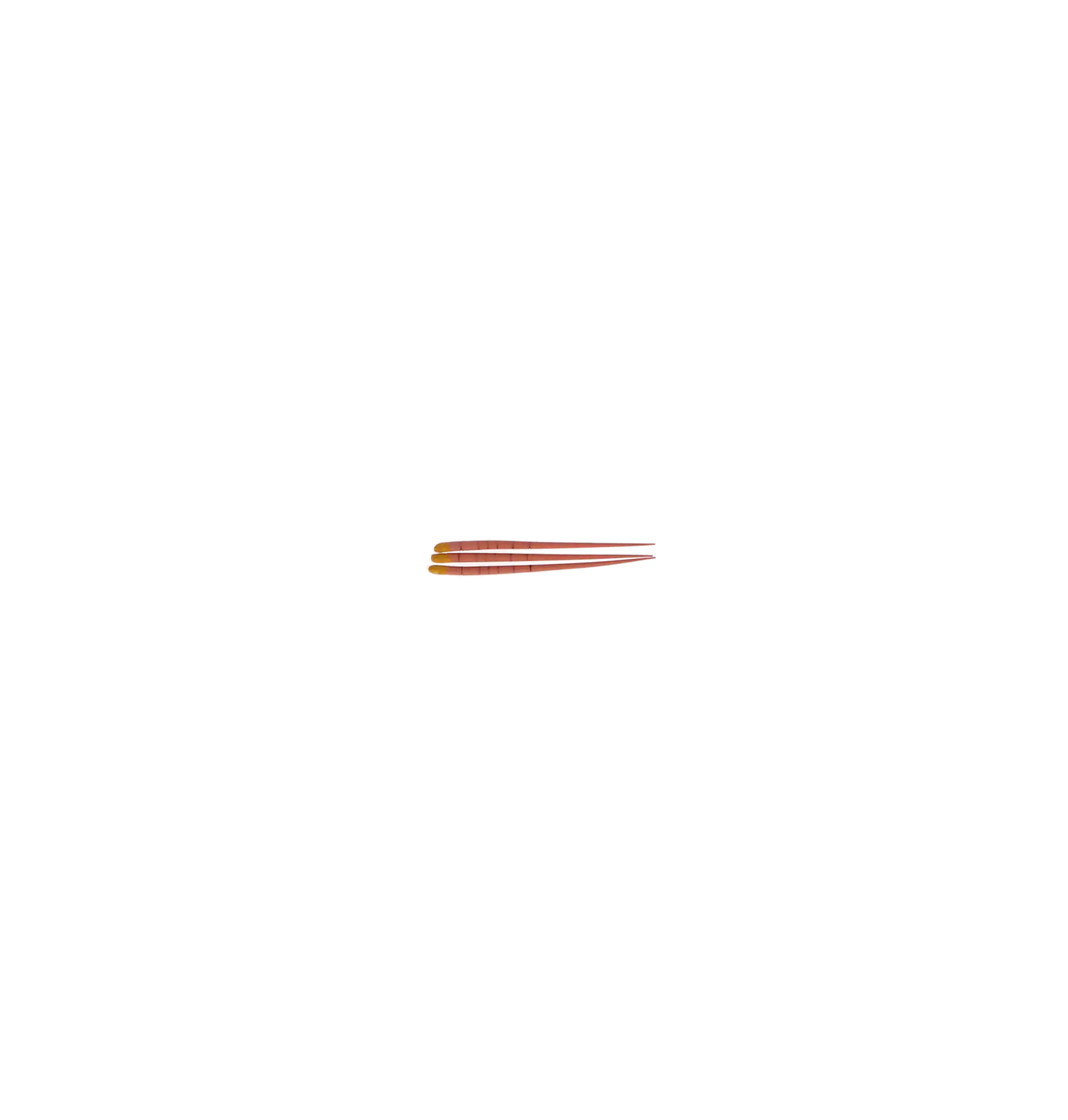 3D - Gutta Percha Points Box/60/Tapered .04 #20