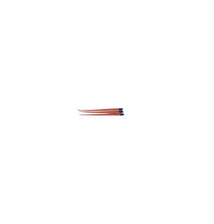 3D - Gutta Percha Points Box/60/Tapered .04 #30