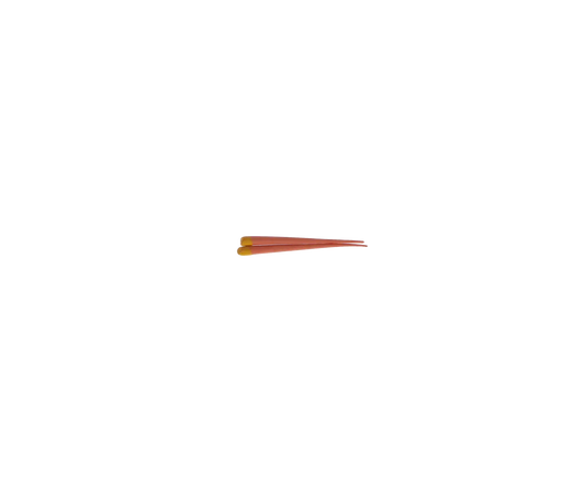 3D - Gutta Percha Points Box/120 Large
