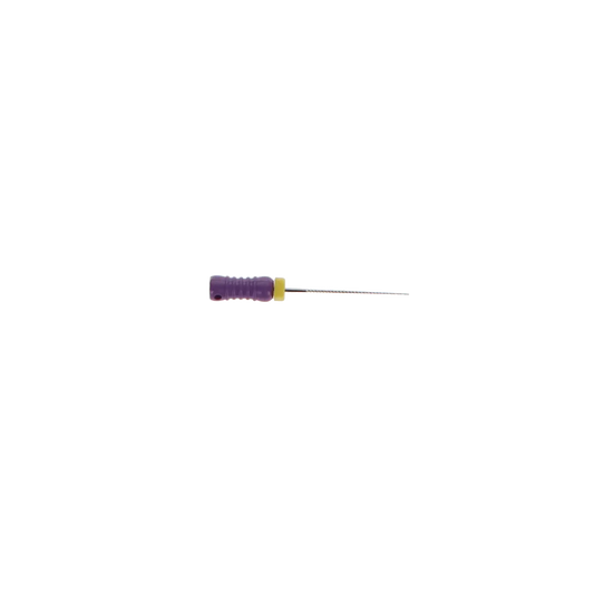 HSB - K-File, Flex-Type, Stainless Steel, 21 mm, # 10, Purple, 6/Pk