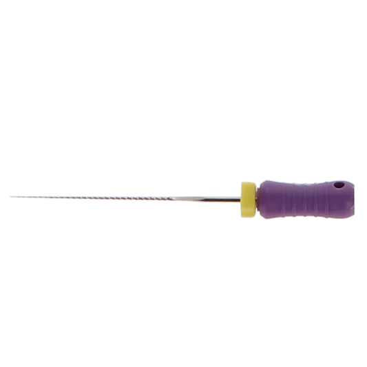 HSB - K-File, Flex-Type, Stainless Steel, 25 mm, # 10, Purple, 6/Pk