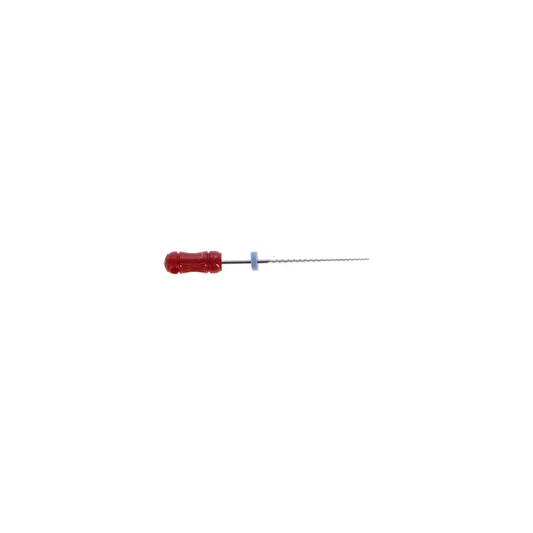 SybronEndo - Hedstrom Files 25mm #25 6/Bx