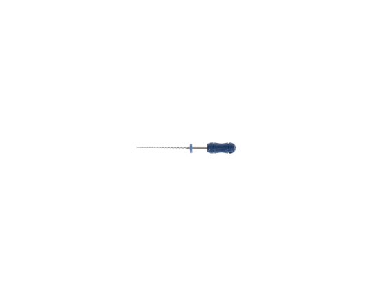 SybronEndo - Hedstrom Files 25mm #30 6/Bx