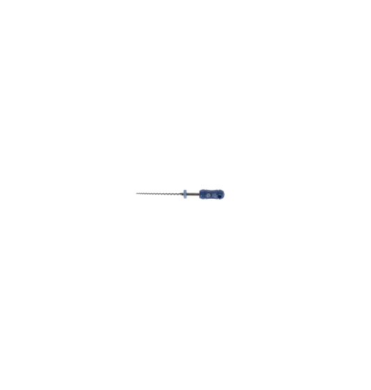 SybronEndo - Hedstrom Files 25mm #60 6/Bx