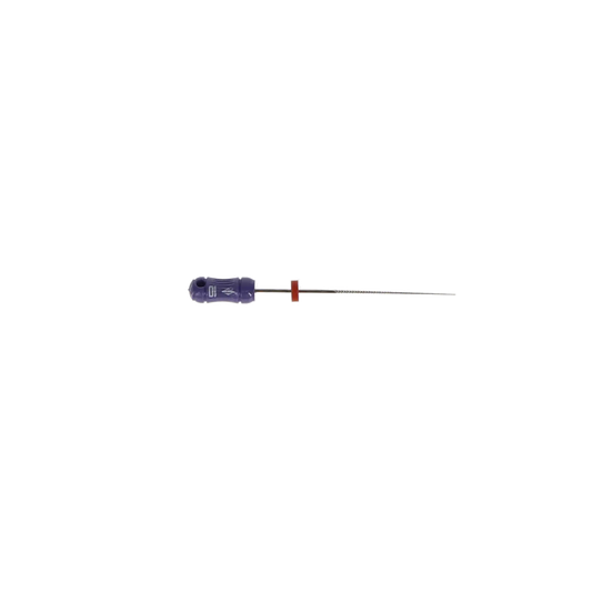 SybronEndo - K-Flex Files 30mm #10 6/Bx