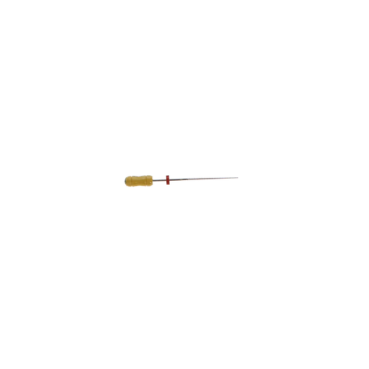 SybronEndo - K-Flex Files 30mm #20 6/Bx