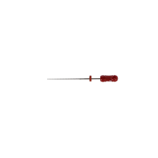 SybronEndo - K-Flex Files 30mm #25 6/Bx