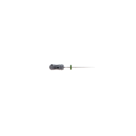 SybronEndo - K-Flex Files 21mm #08 6/Bx