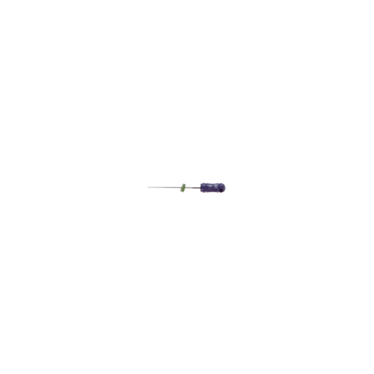 SybronEndo - K-Flex Files 21mm #10 6/Bx
